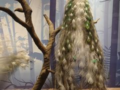 -陕西自然博物馆