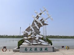 -南大港湿地风景区