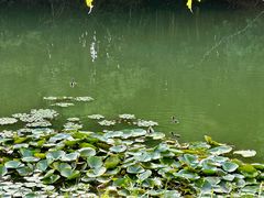 -艾溪湖湿地公园