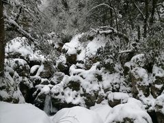 -龙苍沟森林公园