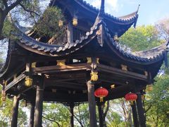 -金鸡山公园