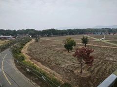 -苏州太湖西山岛开心农场