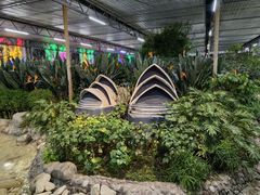 -南宫五洲植物乐园