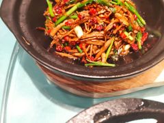 砂锅杏鲍菇-万荣烤鸭店·北京菜(天坛店)