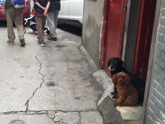 -吾介小籠館