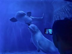 -多彩贵州城极地海洋世界