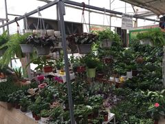 -秦美花卉(天朗·莱茵小城2期店)