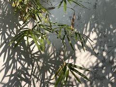 -豫园