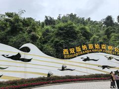 -西双版纳原始森林公园