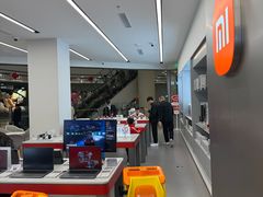 -小米之家汽车(永旺梦乐城店)