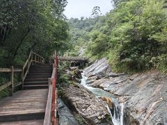 -广州白江湖森林公园