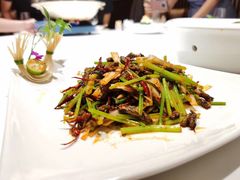 -双鸽和平国际酒店-中餐厅