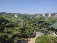 -南山公园