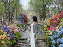 -沂蒙云瀑洞天景区