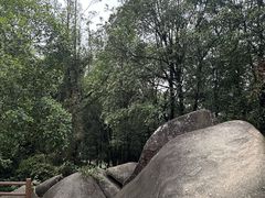-火炉山森林公园