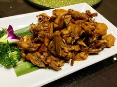 -刘胖子家常菜·蹄花焖藕(中央花园店)
