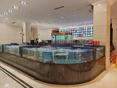 -龙悦湾酒家·八阵鱼生·渔人码头店