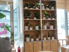-Blueglass酸奶(财富购物中心店)
