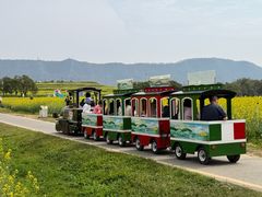 -光明小镇欢乐田园