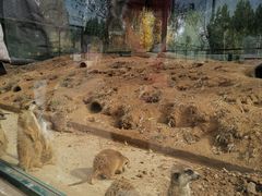 -秦皇岛野生动物园