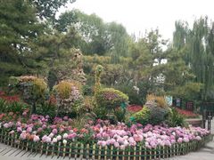 -文瀛公园
