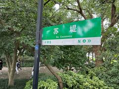 -西湖外事游船(花港观鱼码头)