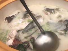-饭怕鱼(阳光100店)