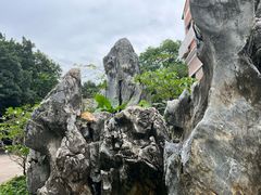 -荔湾湖公园
