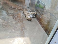 -西安秦岭野生动物园