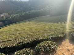 -敬亭山风景名胜区