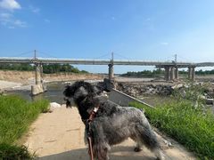-绿堤公园