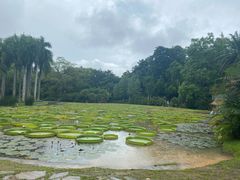 -中国科学院西双版纳热带植物园