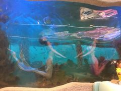 -瑞德姆美人鱼海底演艺主题餐厅(亚龙湾店)