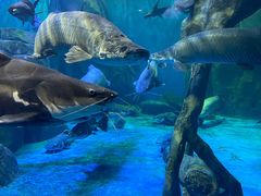 -多彩贵州城极地海洋世界