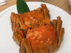 江南醉六月黄蟹-苏小柳点心·手作小笼包(新街口分院店)