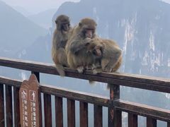 -重庆云阳龙缸景区