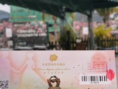 -亚龙湾国际玫瑰谷