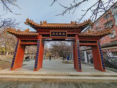 -桃花堤公园