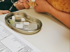 -爱诺耐芙动物医院(万博店)