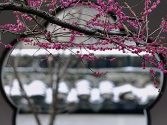 -梅花山(明孝陵内)