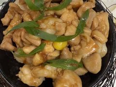 -丁老爷子苏香圆