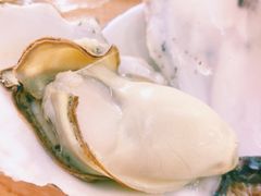 原只蒸生蚝-蚝得喜海鲜(东城店)