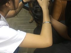 -联合动物医院(光谷诊疗中心)
