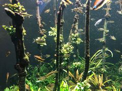 -成都浩海立方海洋公园