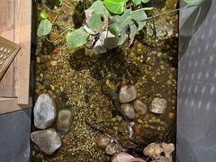 -邈墨茶馆(凤起路店)