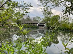 -西溪国家湿地公园