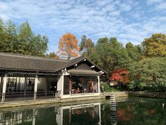 -山外山菜馆(玉泉路店)