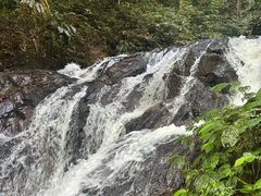 -莫里热带雨林景区