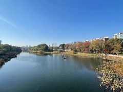-新江湾城公园