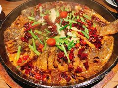 -老板恋上鱼(印象城店)